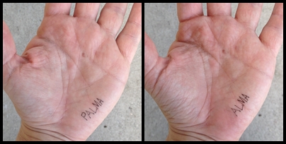 luiz guilherme barbosa